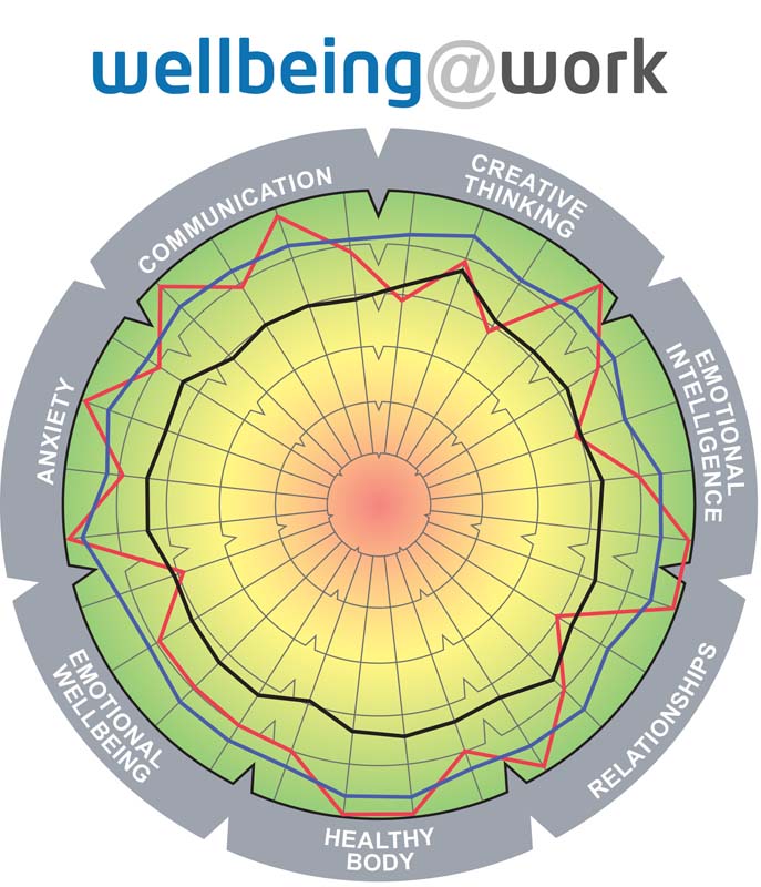 This diagnostic assesses the Physical and Mental Wellbeing of employees in the workplace.